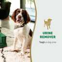 Nature's Miracle Dog Urine Remover, 128 Oz, Enzymatic Formula, Multicolor, 128.00 Fl Oz (Pack of 1)