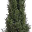 Nearly Natural 5291 5ft. Mini Cedar Pine Tree (Indoor/Outdoor),Green,5'