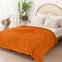Vessia Flannel Fleece Twin Size Blanket for Bed,Couch,Sofa(60x80inch), 300GSM Microfiber Burnt Orange Striped Bed Blanket for Adults, Super Soft Warm Cozy Lightweight Ribbed Decor for All-Season