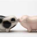 Pacific Giftware Kissing Passion Piggies Collectible Salt & Pepper Shaker Set