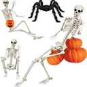 UMEELR 5.4FT Halloween Life Skeleton with Spider, Full Size Skeleton for Halloween Patio Lawn Garden Props Spooky Party Decoration