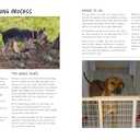 How to Train Your Dog: A Relationship-Based Approach for a Well-Behaved Dog