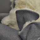 Creamy White Rabbit Plush Rug 4'x'6, Fluffy Faux Fur Shaggy Area Rug for Nursery, Kids Room Decor, Soft Fuzzy Carpet for Living Room, Bedroom, Teen Girls Room