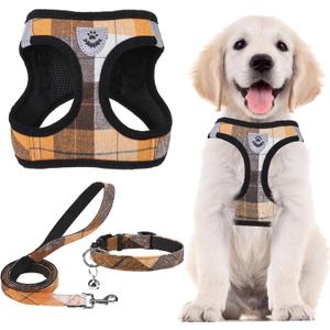 PUPTECK Adjustable Dog Harness Collar and Leash Set Step in No Pull Pet Harness for Small Medium Dogs Puppy and Cats Outdoor Walking Running, Soft Mesh Padded Reflective Vest Harnesses, Orange XS (XS (CHEST 13"-14.5"))