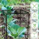 Kalolary 5 Packs Plant Protectors with Cover from Animals, 20''Large Square Wire Plant Cage Metal Garden Plant Protection Chicken Wire Cloche for Plant Flowers Vegetable (20'' x12.6''x 12'')