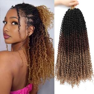Yanky Twist Crochet Hair 16 Inch 10 Packs Yanky Passion Twist Crochet Hair Crochet Hair Pre Looped Spring Twists Hair Pre-twisted Fluffy Mini Crochet Twists Hair Crochet Braids Hair (1B/30/27)