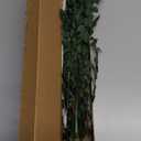 Real Eucalyptus Stems Greenery Decor 20PCS 17" Dried Willow Eucalyptus Plant Preserved Greenery Stems for Home Vase Filler Wedding Flowers Arrangement Spring Decorations