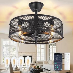 DLLT Caged Ceiling Fan with Light: 20" Farmhouse Fandelier with Light and Remote - Black Rustic Chandelier with Fan for Bedroon Kitchen Living Dining Room