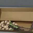 Floroom 5pcs Beige Faux Silk Mums Artificial Flowers, Bulk Fake Small Mini Chrysanthemums with Stems for DIY Champagne Wedding Centerpieces Floral Arrangements Vase Fillers Home Decorations