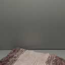 Arotive Microfiber Bathroom Rugs, Shaggy Soft and Absorbent Bath Rug, Non-Slip, Thick Plush Machine Washable Dry Bath Mats for Bathroom, Tub and Shower, 24x16, Mauve, Rectangular