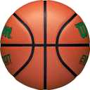 Wilson Evolution Basketballs