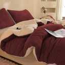 LLanCL 3D Jacquard Design Comforter Set, Ultra-Soft Warm Queen Size Sherpa Fur Plush 3-Pieces Sets Luxury Cozy Bedding with 2 Pillowcases (90"x90", Burgundy)