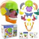 New Anatomy Skull Model 15 Parts Human Anatomy Exploded Skull Detachable Palm-Sized Mini Human Color Medical Skull Model,Medical Dental Clinic Teaching Equipment,Learning with Color Study Manual