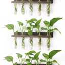 Renmxj Plant Propagation Station Tubes, 3 Tiered 15 Wall Hanging Glass Test Tubes Vase Planter for Hydroponic Home Garden Office Decor, Gardening Gifts for Women Plant Lover - Brown