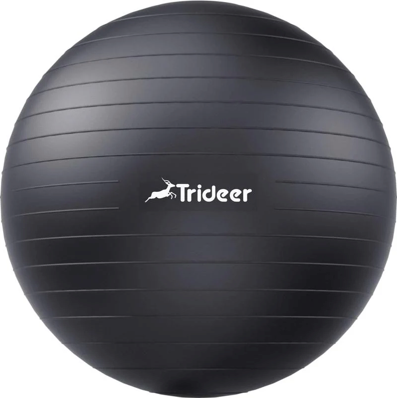 Trideer Extra Thick Yoga Ball Exercise Ball, 5 Sizes Gym Ball, Heavy Duty Ball Chair for Balance, Stability, Pregnancy, Quick Pump Included (Black), Size: L(23-26ines/58-65cm)