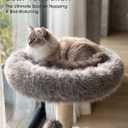 Solid Wood Cat Tree, Boho Modern Cat Tree Tower with Real Branch