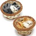 2Pcs Sleeping Cat in Basket Doll Toy, Mini Kitten in Woven Basket with Meows Sounds Decor for Office Desk Hand Toy Gift for Kids Boys Girls