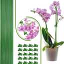 22Pcs Plant Stakes with 22 Pcs Clips, 15.8 inches Bendable Green Plant Sticks for Indoor and Outdoor Plants,Potted Plants,Single Stem Flower Support for Orchid Peony Rose (22, Green)