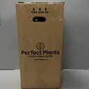 Perfect Plants Easy Bee-zy Knock Out Rose Bush 3 Gallon | Live Rose Shrub | Fresh Roses