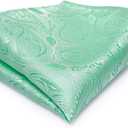 Dubulle Mens Paisley Striped Tie WOVEN Necktie for Men and Handkerchief Cufflinks Set Wedding Formal Business (B Mint Green)