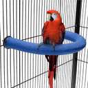 FrgKbTm U Shape Parrot Perch Stand Toy Bird Platform Sand Paw Grinding Clean Stick Exercise Conure Budgie Cockatiel Cage Accessories (Blue)