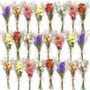 12/24 Pack Dried Flowers for Vase Various Mini Bouquet Dried Small Wildflowers Natural Real Flowers Bulk for Crafts DIY Wedding Decor (24, Forget Me Not)