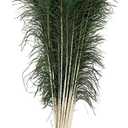 FeatherStore.com Natural Long Peacock Eye Feathers 40-45'' 10pc Wedding Home Decoration DIY Craft by FeatherStore