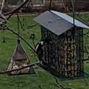 Songbird Treats Seed Bars | 8 pack of 1.75 -2 lb Bird Seed Cakes for Wild Birds (Sun & Harvest) (EXP 01/07/28)