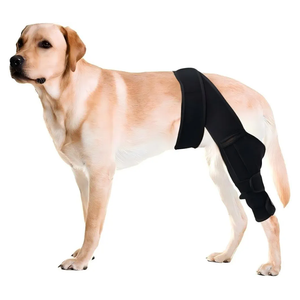 Dog Knee Brace for Torn ACL Hind Leg，Comfortable and Adjustable Support Brace with Two Stabilizer，Dog Leg Braces for Back Leg with Extra Support，Arthritis Relief and Surgery Recovery (L)