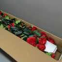 UPBUD Artificial Camellia Tree 2 Pack, 3.3FT Fake Camellia Plant with 30 Blooming Red Flowers & Planter, Tall Faux Floral Trees Lifelike Plants for for Indoor Outdoor Home Living Room Porch Decor