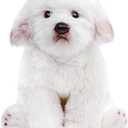 Tiny Heart Maltese Dog Plush Toys, Realistic Dog Stuffed Animal Super Soft and Cute White Dog Plush Toys 10inch, Birthday Gifts for Kids Boys and Girls Bedroom Home Decor Simulation