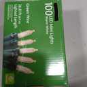 Holiday Home Indoor Outdoor 100 Green Wire LED Mini Christmas Lights - Warm White
