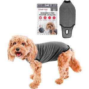 BellyGuard Recovery Suit for Dogs, Comfy Dog Surgery Suit, Female Spay and Male Neuter Onesie for Post-Op Care (Medium, Grey)