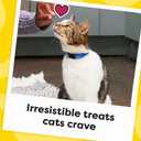 Temptations Classic Crunchy and Soft Cat Treats Tasty Chicken Flavor, 48 oz. Pouch (3 Pound (Pack of 1))