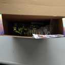 Transformer NBK TF engineering yellow G2 devastator