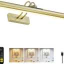 Picture Light,Magnetic Cordless Wall Light,16inch Art for Painting Light,5000mAh Battery Accent Light with Remote Timer and Dimmable for Display, Frame, Portrait, Artwork-Antique Brass
