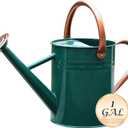 Metal Watering Can for Outdoor and Indoor Plants, Watering Can Decor, 1 Gallon (NewGreen)