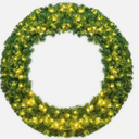 48 in. Green Cordless Pre-Lit LED Artificial Christmas Wreath with 200 LED Light and Timer