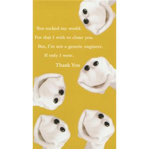 Thank You Clone Sock (6-Pack) Greeting Cards