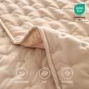 Ruffle Skirt Bedspread Set,3 Piece Bed Skirt Queen Size with 30-inch Extra Long Drop, Quilted French Country Farmhouse Bedding, Soft Microfiber Shabby Chic Bedspread with 2 Pillow Shams, Camel