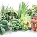 HappyHapi 12 Pcs Artificial Succulents Mini Fake Plants Unpotted Faux Succulent for Craft, Small Plastic Succulents Assortment in Flocked Green Floral Decor for Party, Cake, Garden & Outdoor