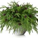 Watayo 10 Pcs Christmas Norfolk Pine Branches with Pine Cones, 19" Extra Length Fake Greenery Norfolk Pine Stems Sprigs, Artificial Xmas Branches Plants Pine Leaves for DIY Craft Garland Home Decor