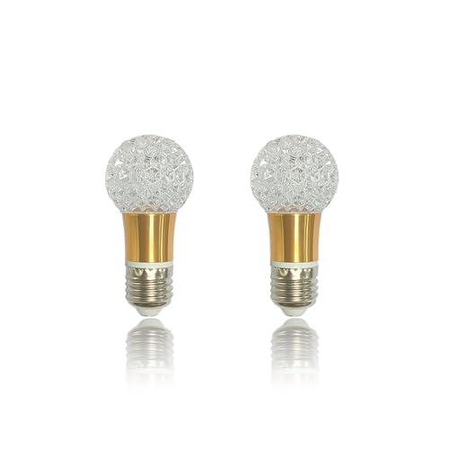 Brigligh 2 Pcs 5W E26 Decorative LED Bulb, 85-265V Wide Voltage, 3000K Warm Light, Crystal Edison Style Light for Home/Restaurant/Bar (B013)