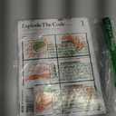 Explode the Code 1: Essential Lessons for Phonics Mastery