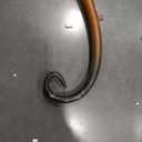 Deco 79 Wood 2 Shelves Console Table with Slim Black Metal Legs, 40" x 14" x 32", Beige