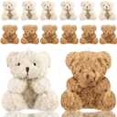 WXJ13 Plush Mini Teddy Bear - 12 Pieces (4 Inch), Soft Stuffed Animals for Party Favors, DIY Keychain Bag Decor (6 Brown, 6 Apricot)