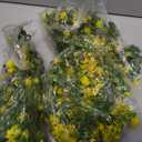 RECUTMS Hanging Garland Plants Artificial Eucalyptus Garland Fake Hanging Eucalyptus Leaf Garlands with Flowers Faux Vine Plants for Indoor Outdoor Spring Thanksgiving Wall Arch Wedding Decor(Yellow)