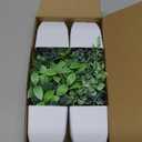 Der Rose 4 Pack Fake Plants Mini Artificial Greenery Potted Plants for Home Decor Indoor Office Table Room Farmhouse Bathroom Decor (Grey)