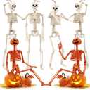 6 PCS Skeletons for Halloween 16 Inches, Full Body Posable Hanging Skeleton with Movable Joints for Halloween Party Decor Indoor and Outdoor Spooky Scary Yard Lawn Garden Patio Haunted House
