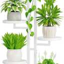 iDavosic.ly 4 Tier Plant Stand Indoor Outdoor, Tiered Corner Multiple Flower Pot Holder Shelf, Metal 34 Inch Tall Display Rack for Patio Porch Living Room Garden Balcony Bedroom, White